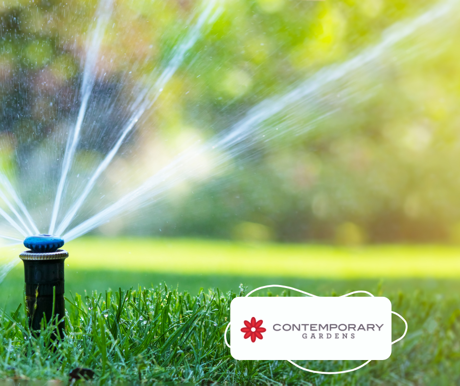 Go Green with Smart Irrigation from Contemporary Gardens